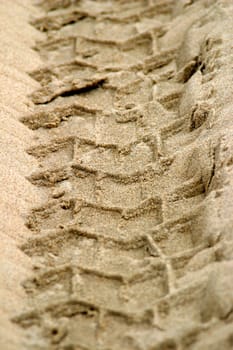 Tracks in the sand
