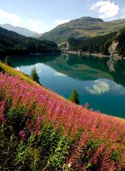 Marmorera is located on the road to the Julier Pass on Lake Marmorera,which is formed by an earth dam that is unique in Switzerland. The area has been spared from tourist transport facilities to this day,so that you can still find intact natural landscapes