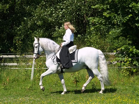 Trot