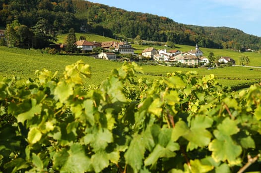 Vinzel,Vaud,Switzerland