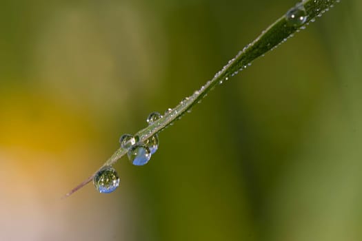 Water droplets with reflections