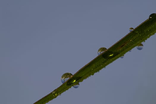 Water droplets with reflections