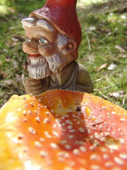 Poison dwarf