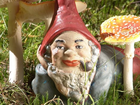 Poison dwarf