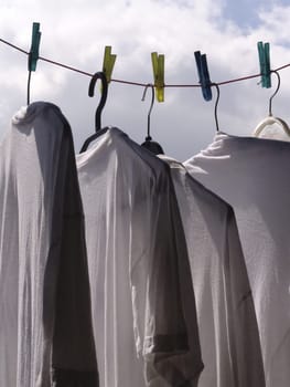 Shirts