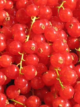 Currants1
