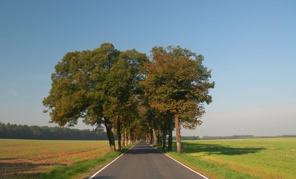 These are the roads I prefer to be on our roads.... because there is hardly any other car to be seen!