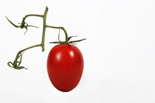 Cherry tomato 1