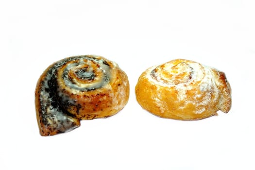 Snails