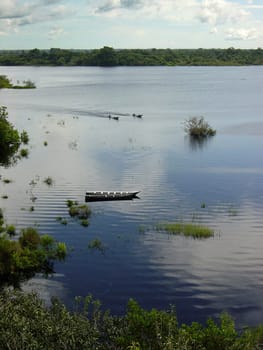 Side arm of the Rio Negro,Brazil
