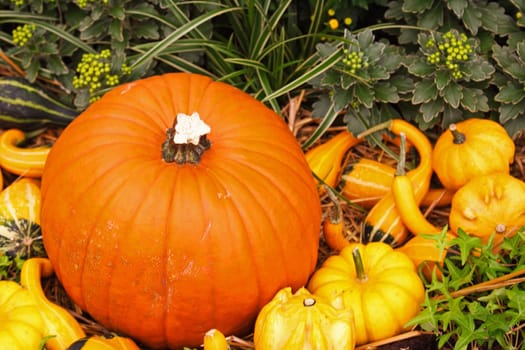 It's autumn