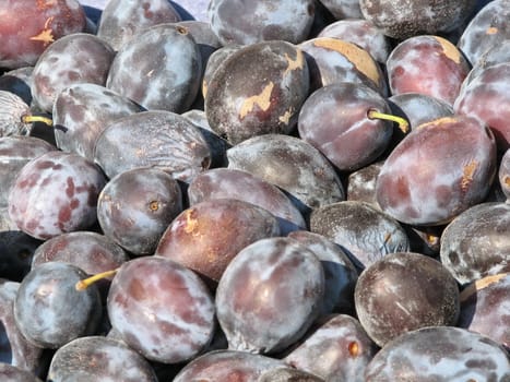 Plums2