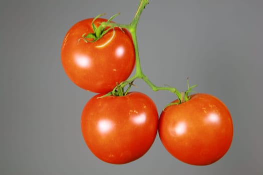 3 tomatoes