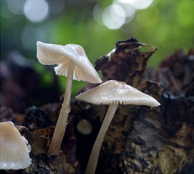 Maybe someone can tell me what kind of person they are?