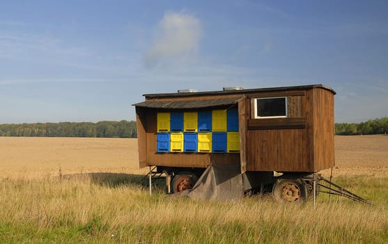 Maybe one of you still knows the bee wagon in the rapeseed field......! This is what it looked like today in the same place! Mowed down and the harvest completed..... only the beekeeper has his work to do!
