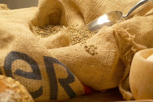 Grains in a sack