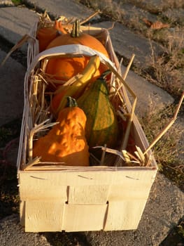 in the basket
