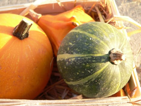 Harvest
