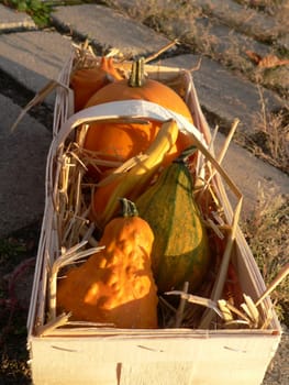 Decorative basket