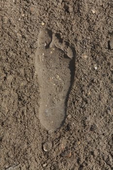 Spuren im Sand