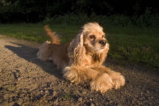 in typical posture