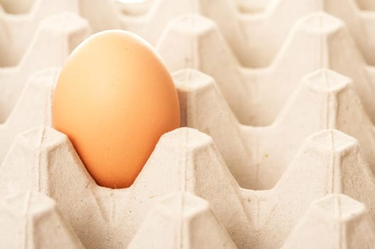 Eier