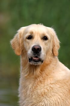 Passport photo