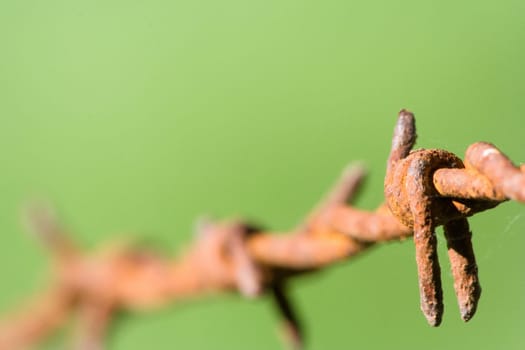 Complementary Crosses II