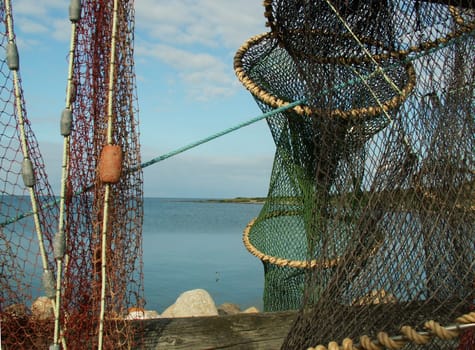 Through the nets