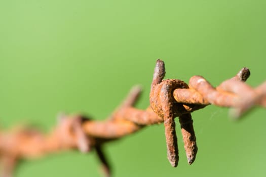 complementary crosses