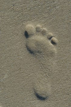 Sylt,September 2006.