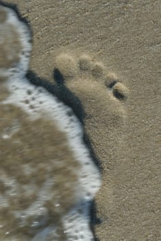 Sylt,September 2006.