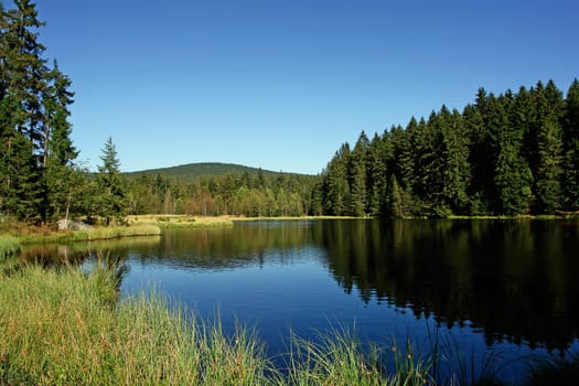 Peace and quiet by the lake