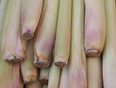 Lemongrass is particularly popular as a spice in the kitchens of Thailand,Vietnam,Indonesia or India. Lemongrass tastes good with poultry,fish and seafood and goes well with all spicy dishes made from beef,pork or lamb