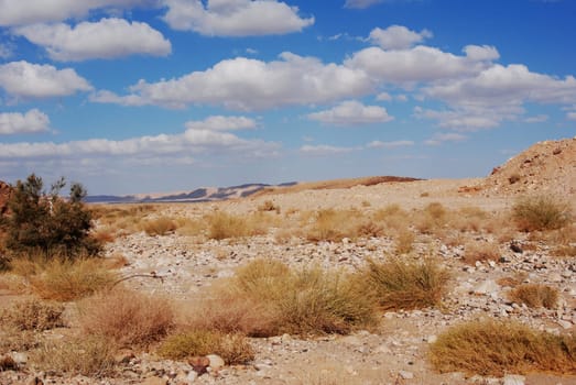 Wadi in the Negev,Israel
