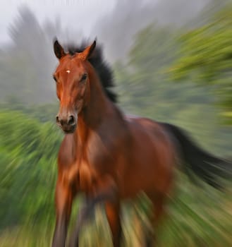 Gallop jump from hyperspace....