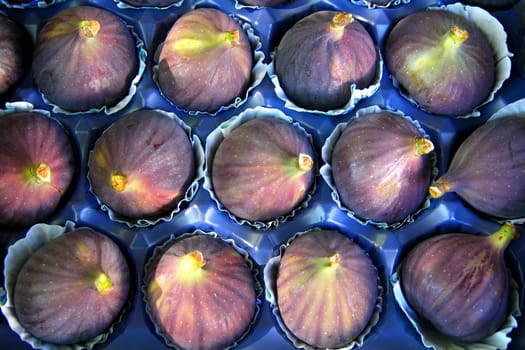 Figs