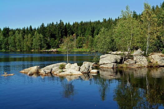 Forest Lake