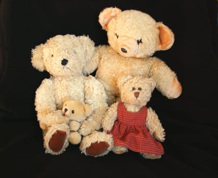 Bear family