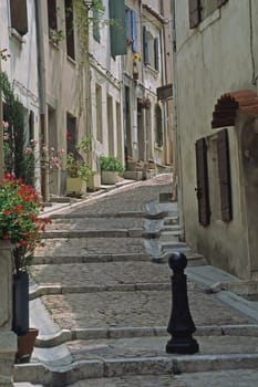 Arles,Lane,Camargue
