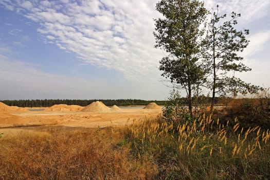 Sandy landscape
