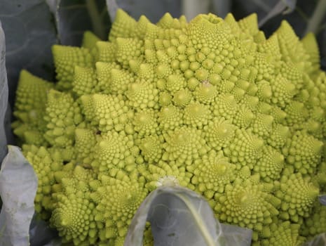 Italian cauliflower...