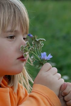 Picking flowers is one of little Kimi's favorite pastimes
