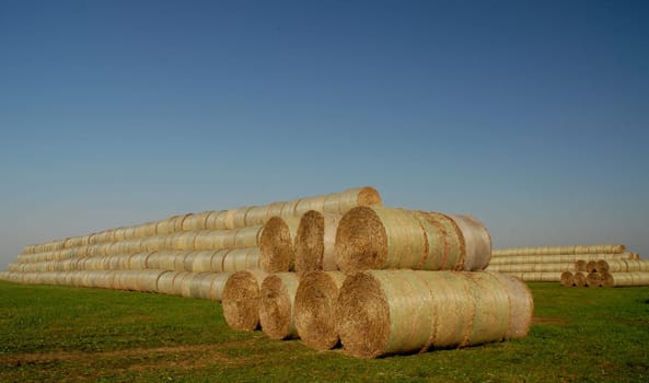 The masses of straw bales in our area are still presented in rows and rows.....!