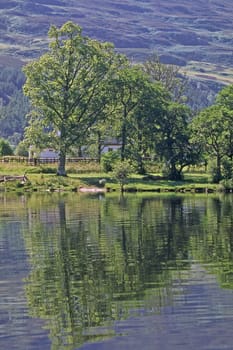 Loch Ness, Wasserspiegelung, Schottland