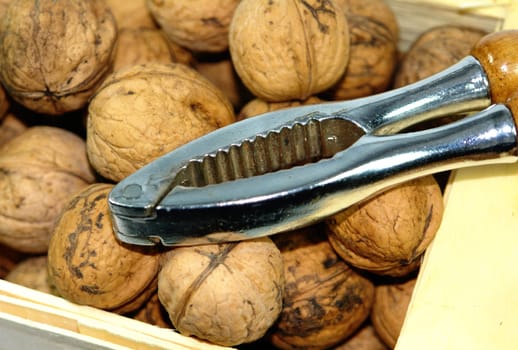 Nut