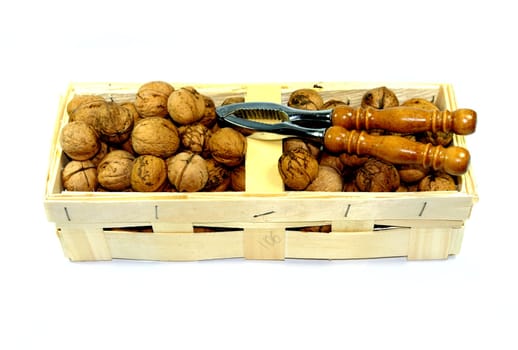 Nut Harvest