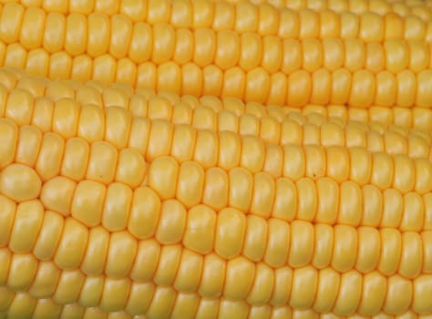 Corncob...