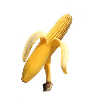 Genetic engineering