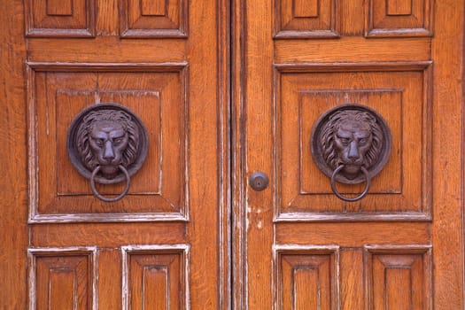 Venice,Door Detail,Door Knocker